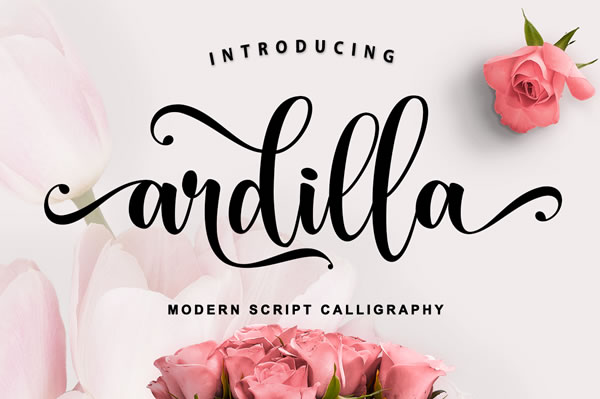 Unleash Creativity with the Ardilla Font